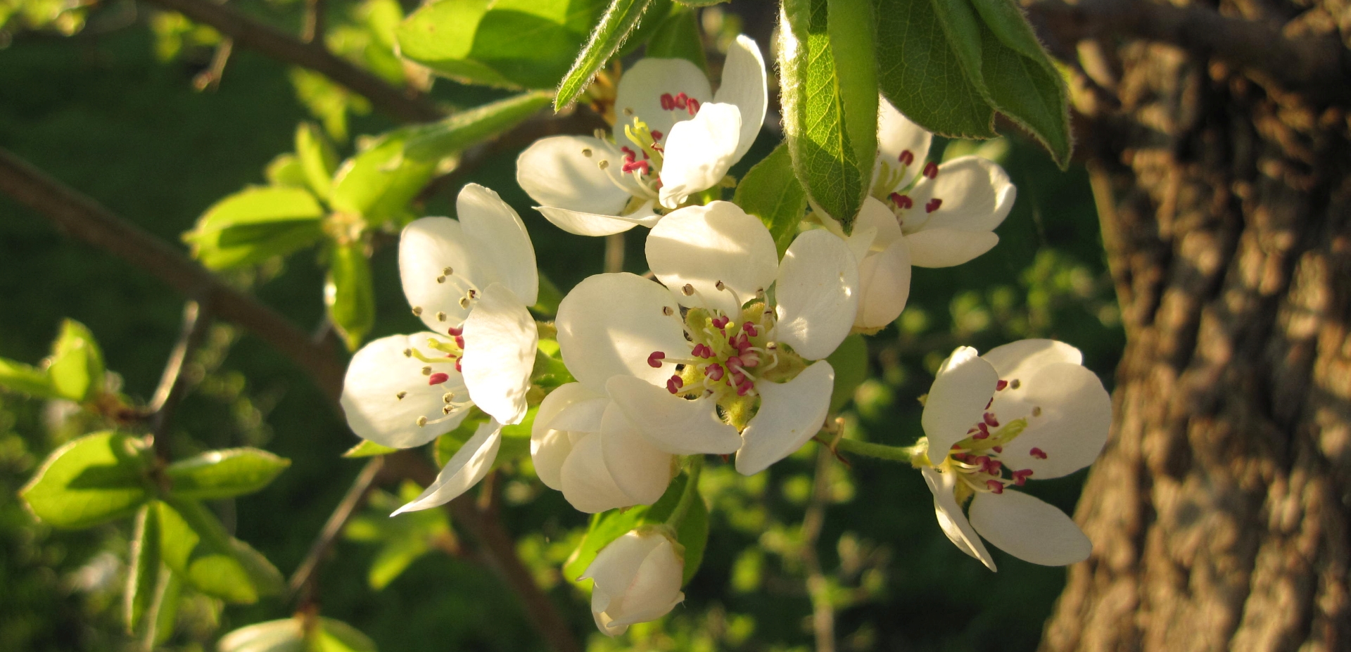 Headerbild der Gemeinde Bessenbach