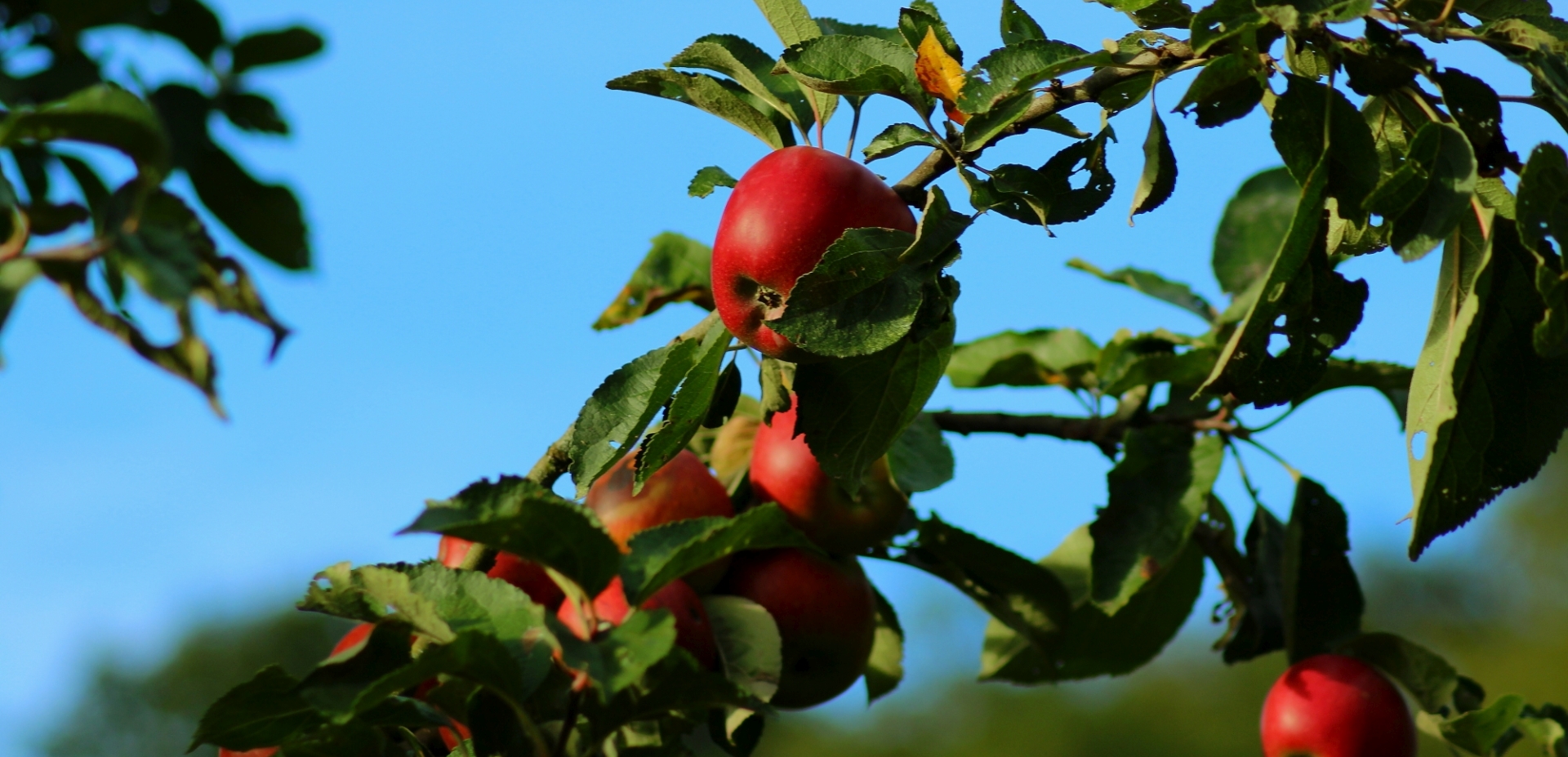 Headerbild der Gemeinde Bessenbach